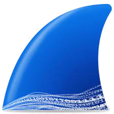 Wireshark logo